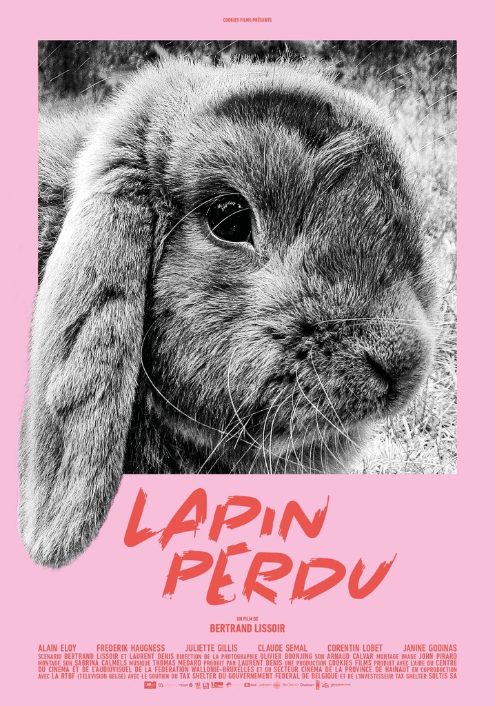 Lost Rabbit streaming where to watch movie online?